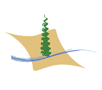 Haut Commissariat aux Eaux et Forêts